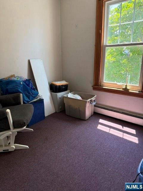 49 Stewart Avenue Property Photo 37
