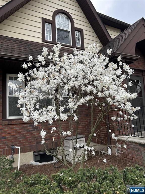 8 Laurel Avenue Property Photo 21