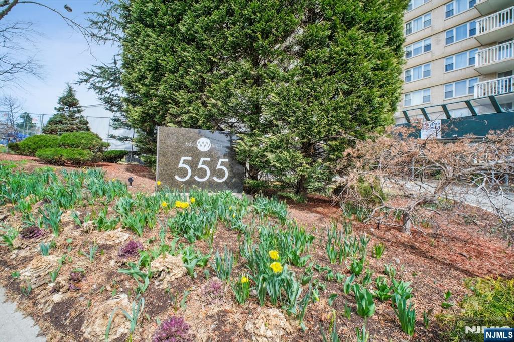 555 North Avenue 25k Property Photo 22