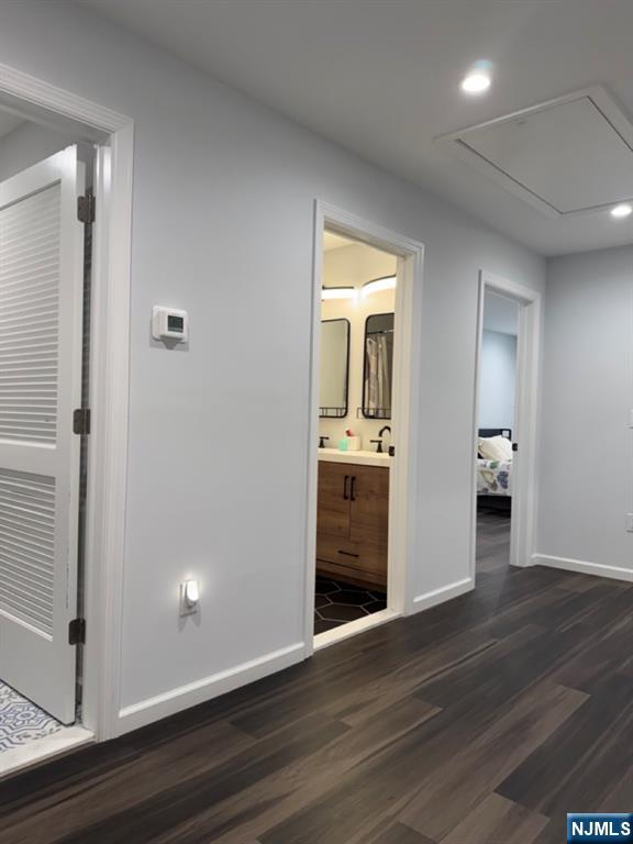 56 Ann Street B Property Photo 19