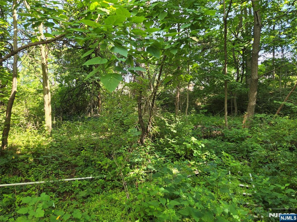 2 Hewlett Road Property Photo 5