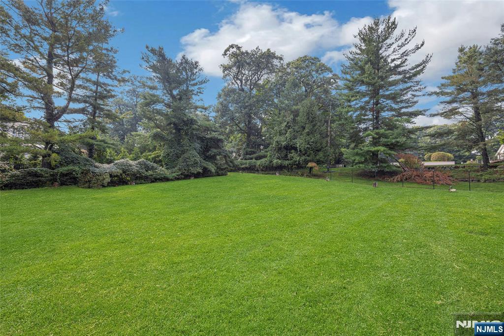 16 Schaffer Road Property Photo 19