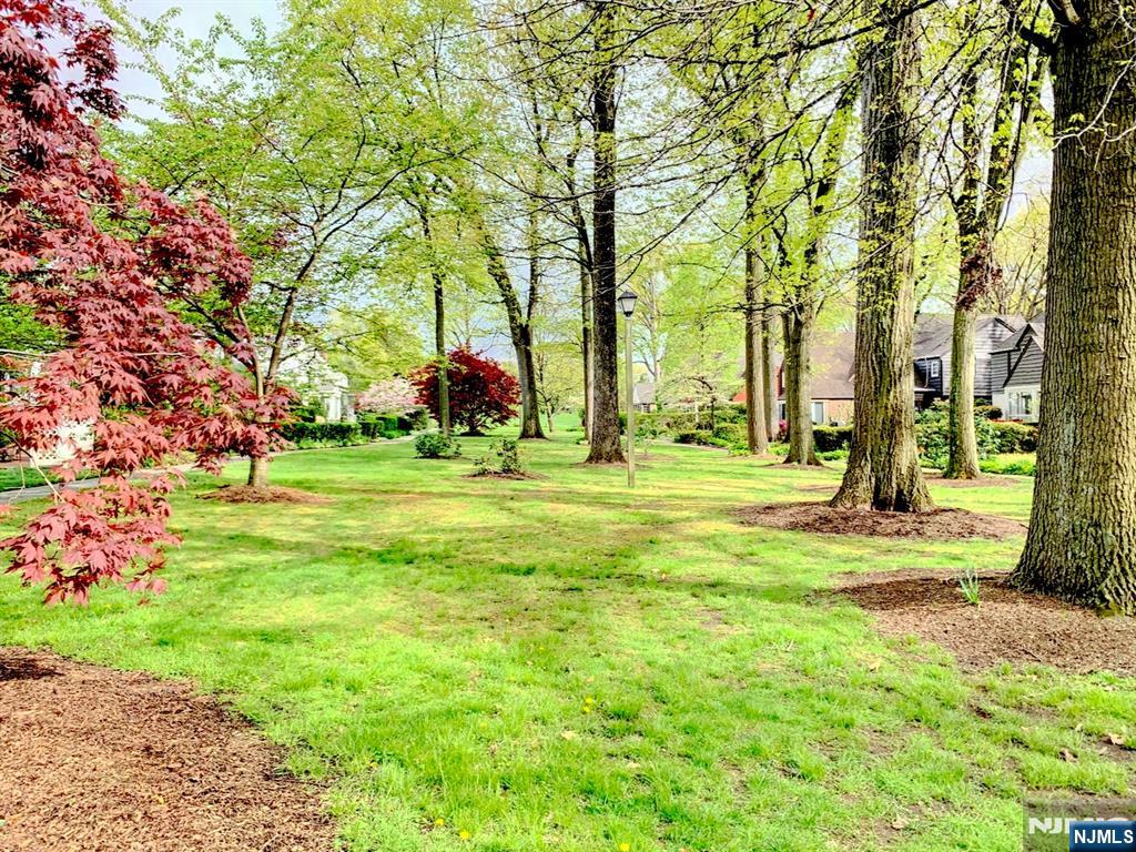 14 Ramsey Terrace Property Photo 37