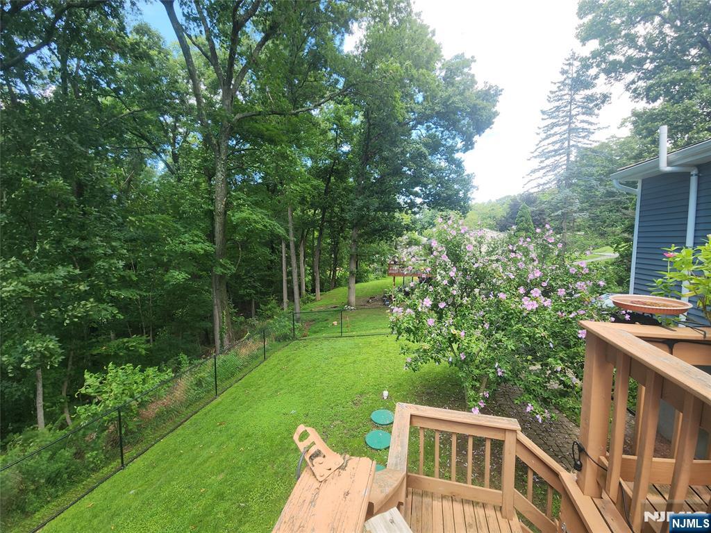 11 Hillsdale Drive Property Photo 46