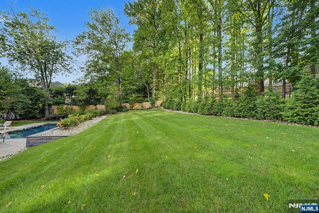 28 Leroy Street Property Photo 43