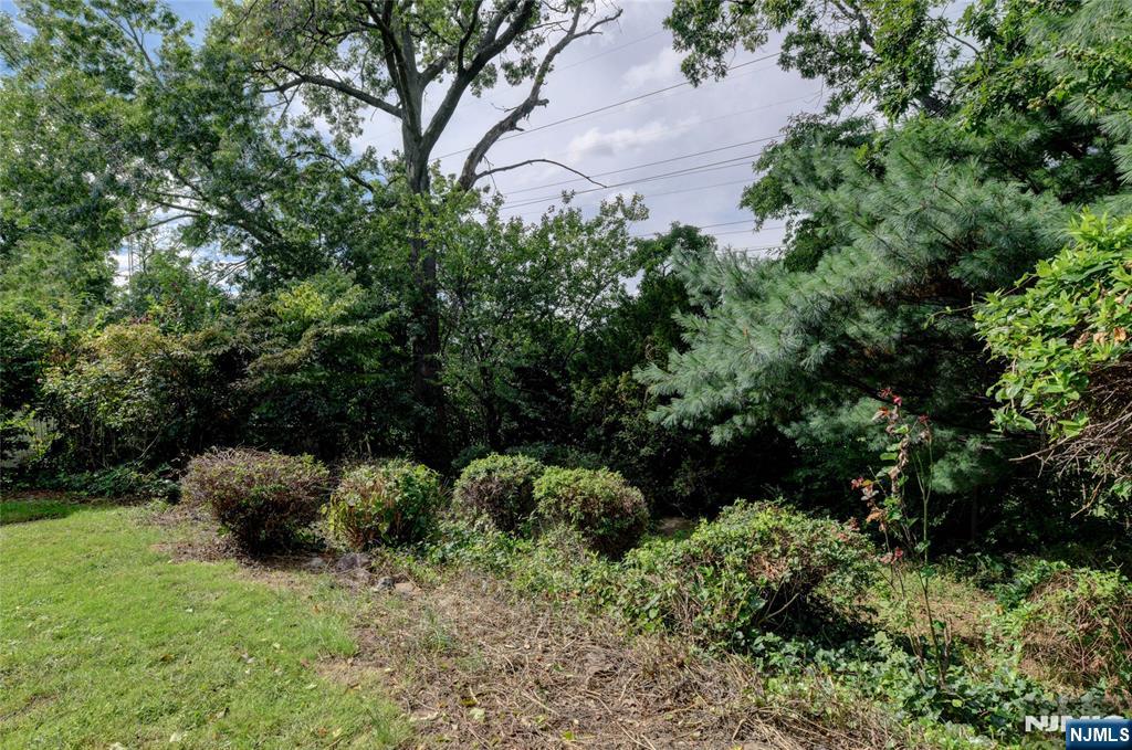 8 Tyler Court Property Photo 22