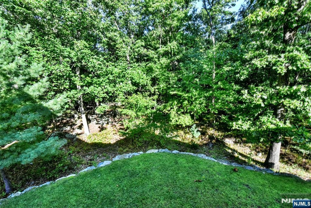 10 Stanley 10 Property Photo 32