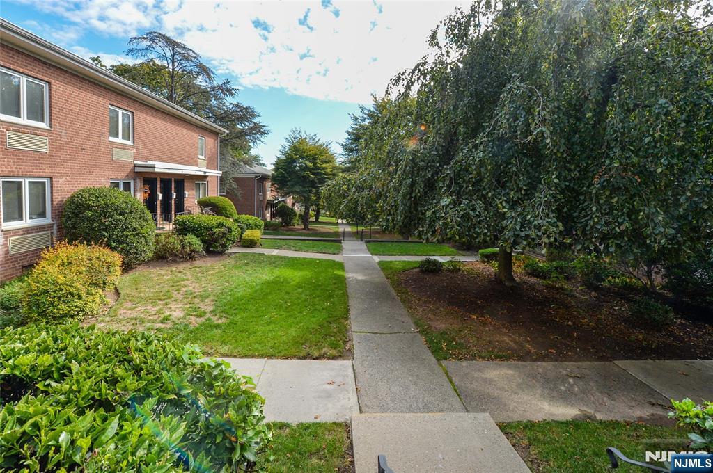 250 Oak E4