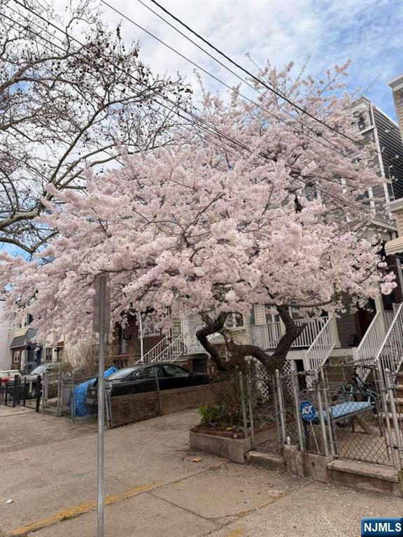 22 Laidlaw Avenue Property Photo 24