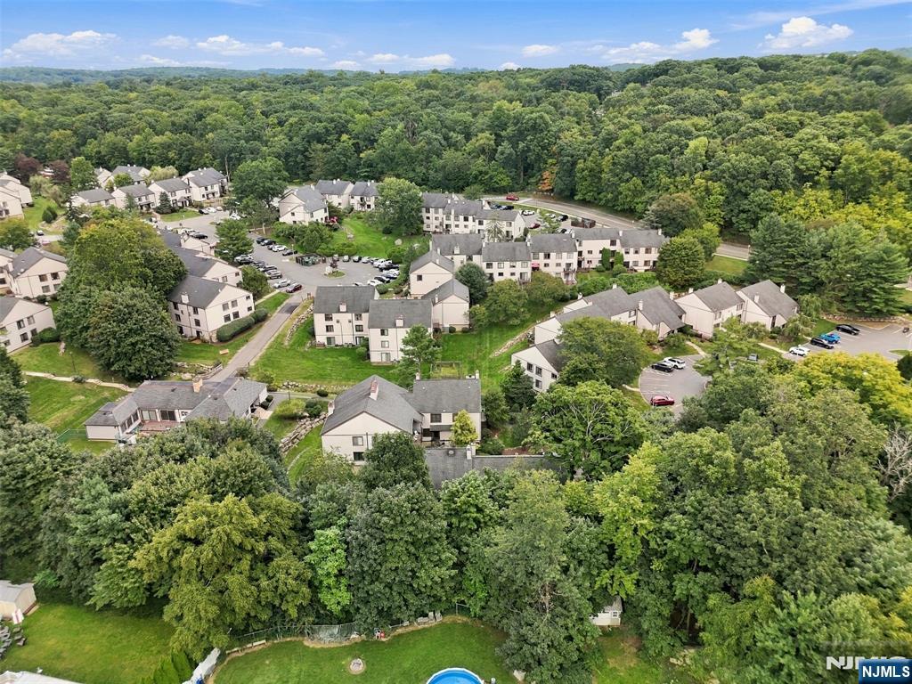 113 Alpine Court 13