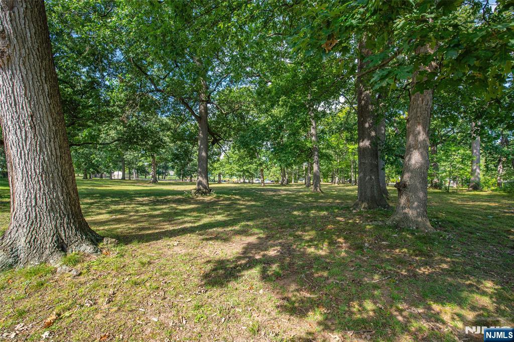 9-10 Malcolm Terrace Property Photo 21