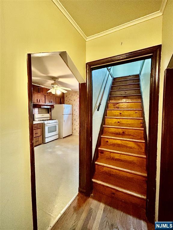 222 Terrace Avenue Property Photo 28
