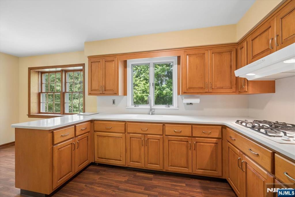 1 Ellyn Court Property Photo 16