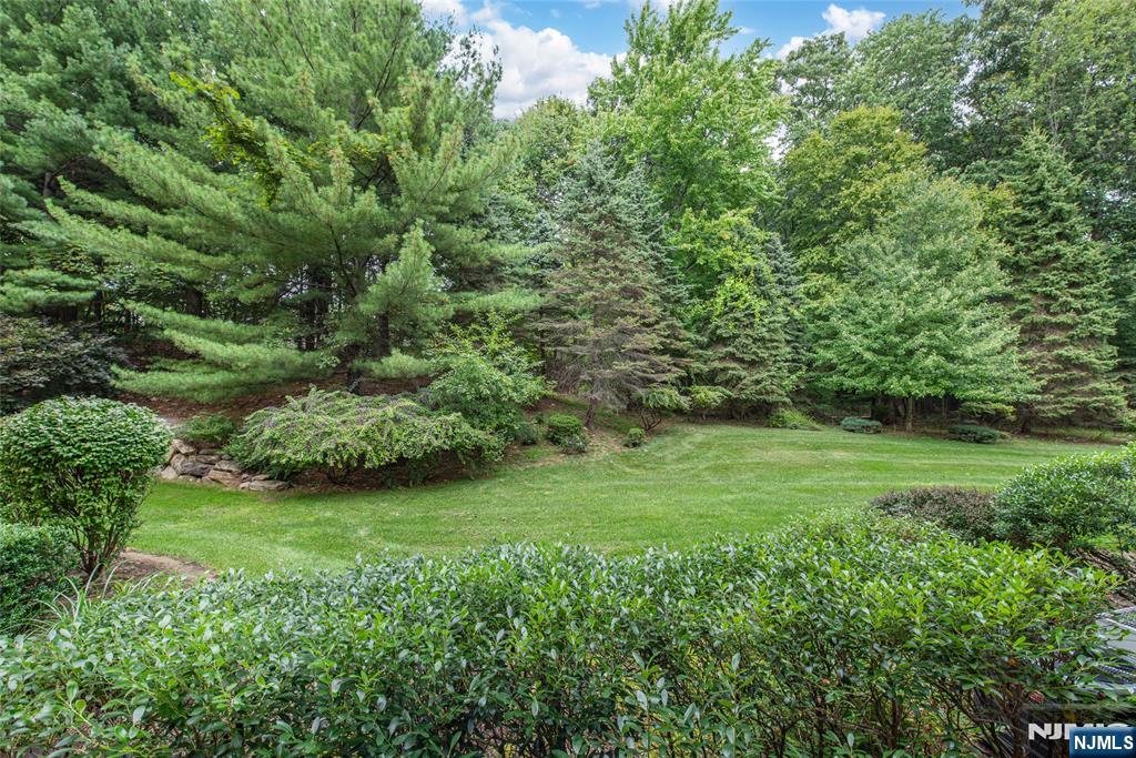 1115 Hamilton Drive Property Photo 2