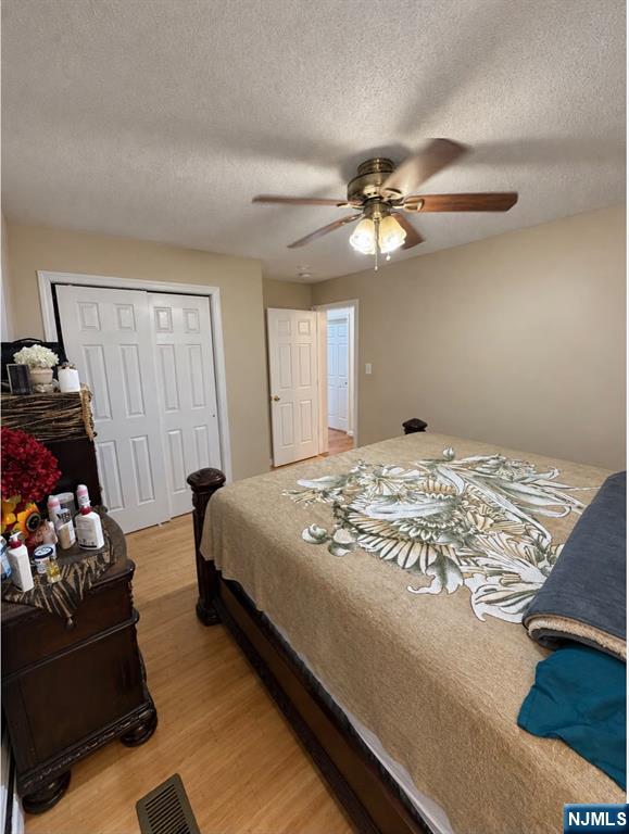 15-17 Ryle Avenue Apt 1 Property Photo 9