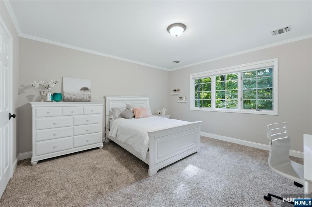 3 Drake Drive 3 Property Photo 22