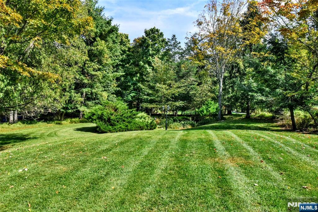 486 W Saddle River Road Property Photo 8