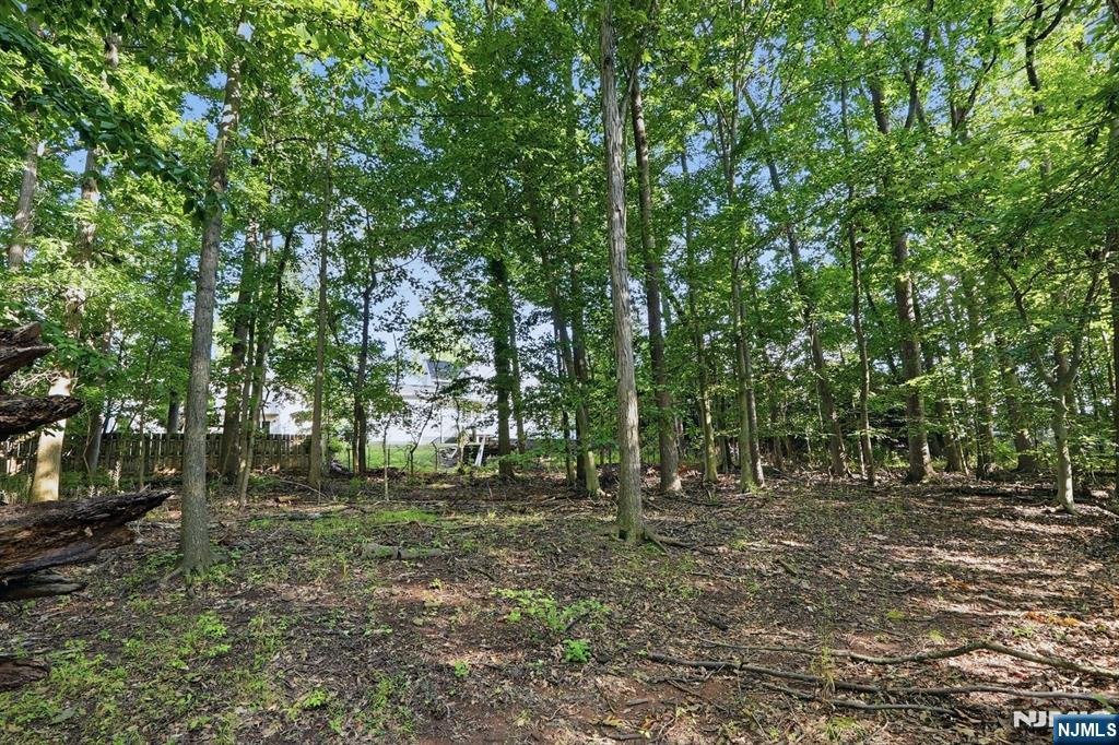 17 Blake Drive Property Photo 42
