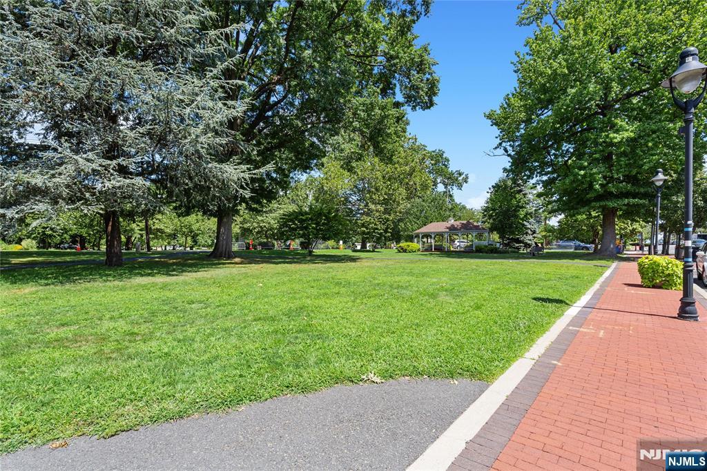 1677 Springfield Avenue 2 Property Photo 20