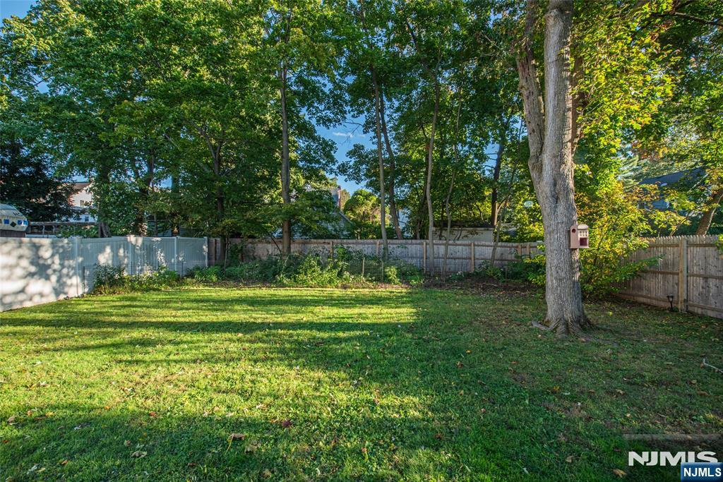 47 Mount Prospect Avenue Property Photo 27