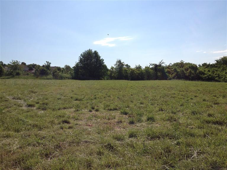 3256 South Scenic Property Photo 1