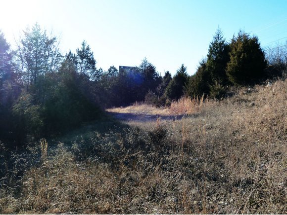 2800 Gretna Road Property Photo 8