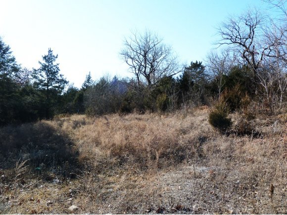 2800 Gretna Road Property Photo 9
