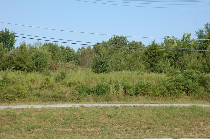 999 Preacher Roe Boulevard Property Photo 6