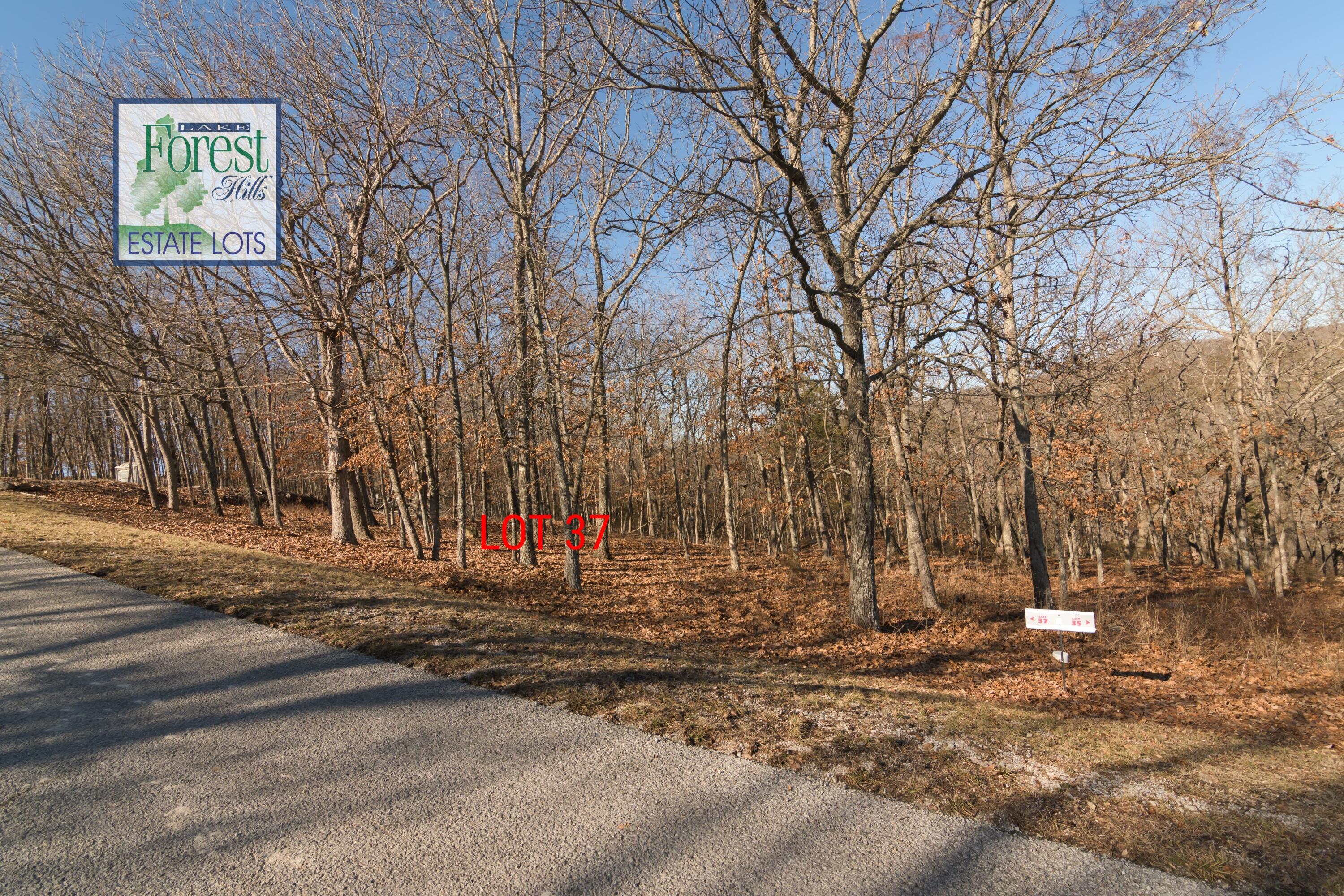 Lot 37 Canada Drive Property Photo 5