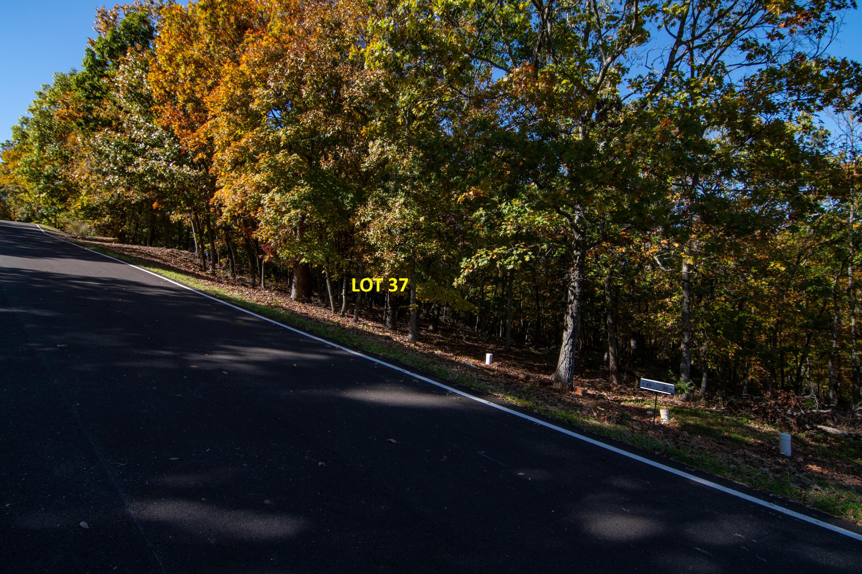 Lot 37 Canada Drive Property Photo 6
