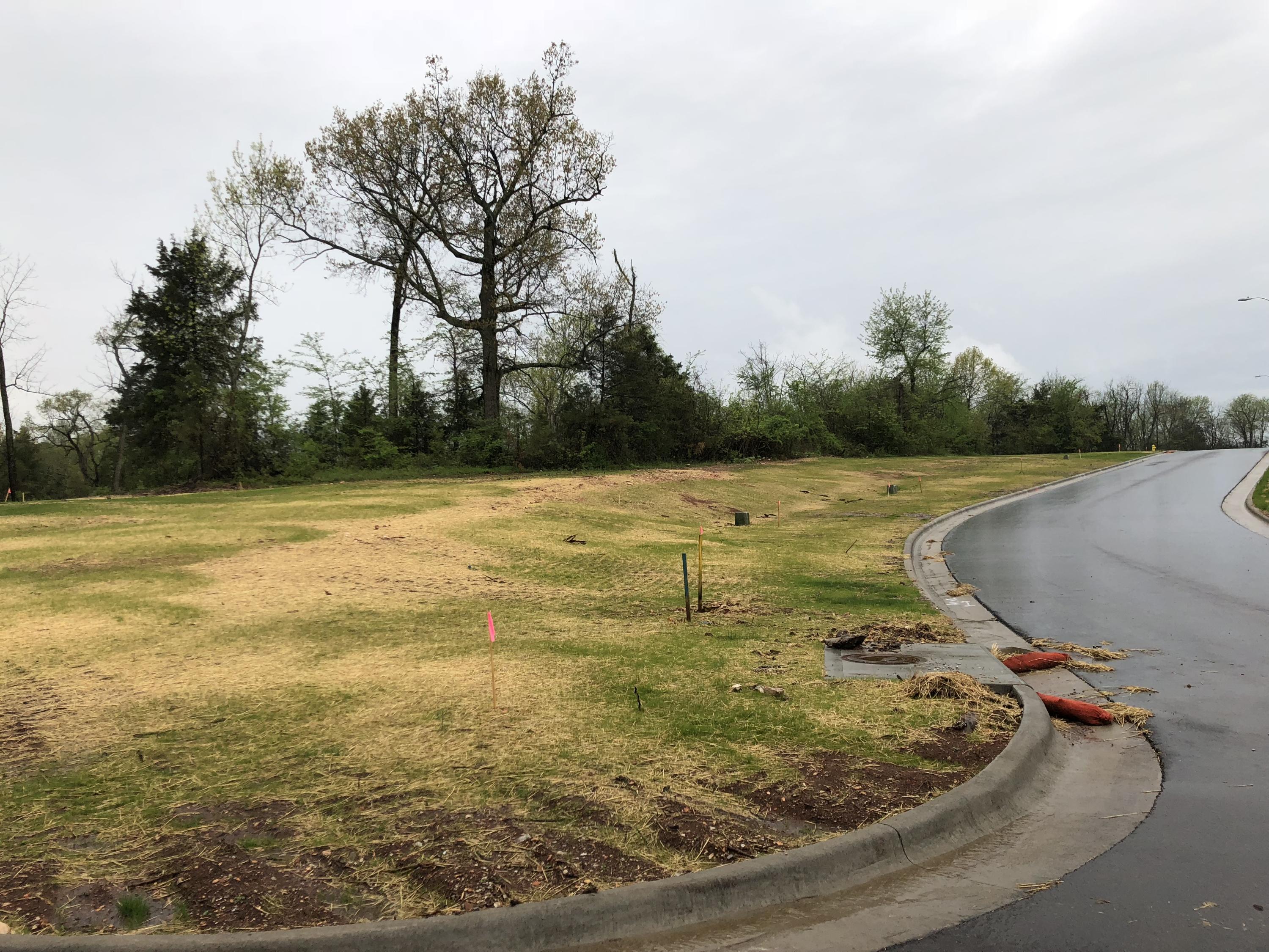 Lot 95 Cypress Point Property Photo 4