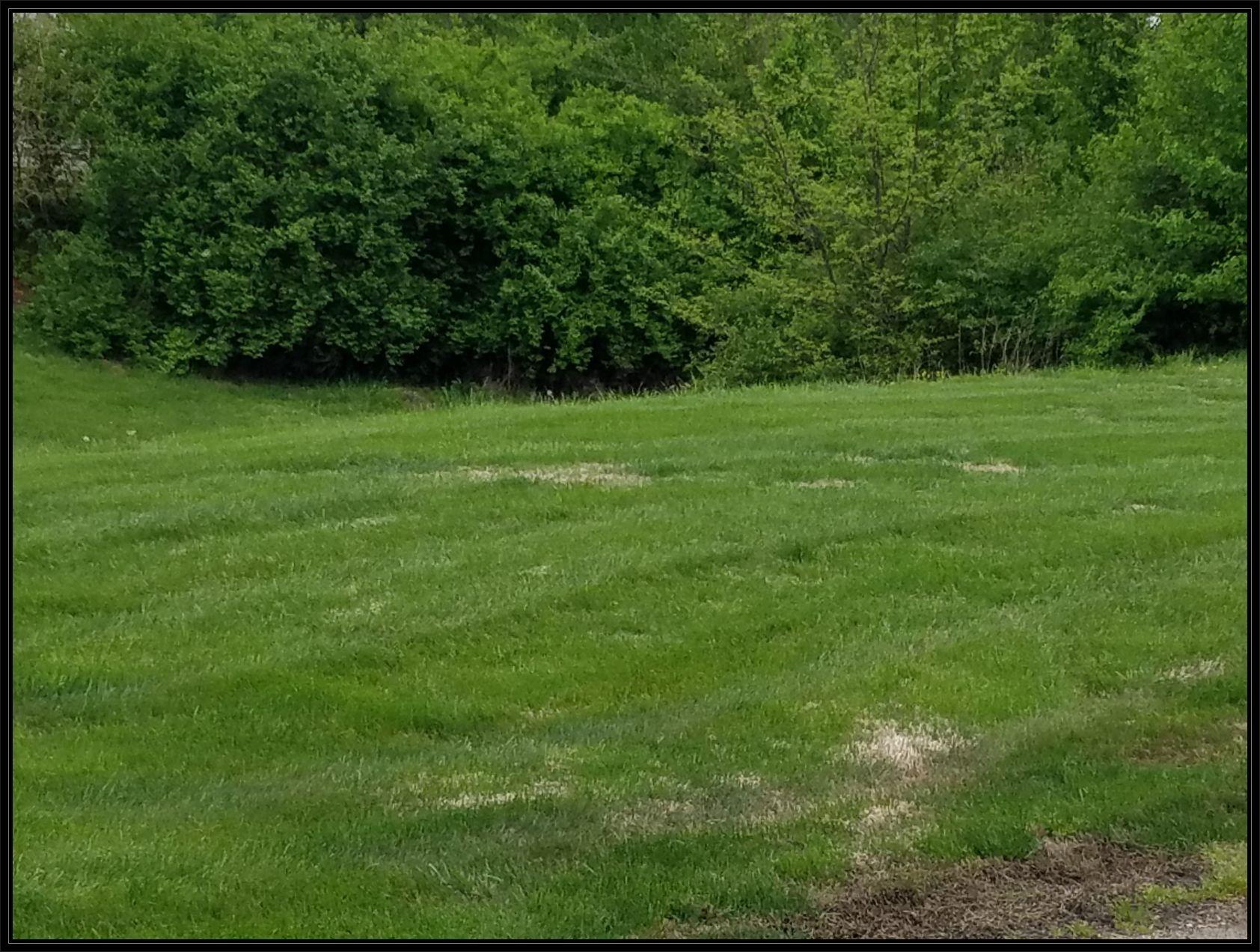 Lot 95 Cypress Point Property Photo 7
