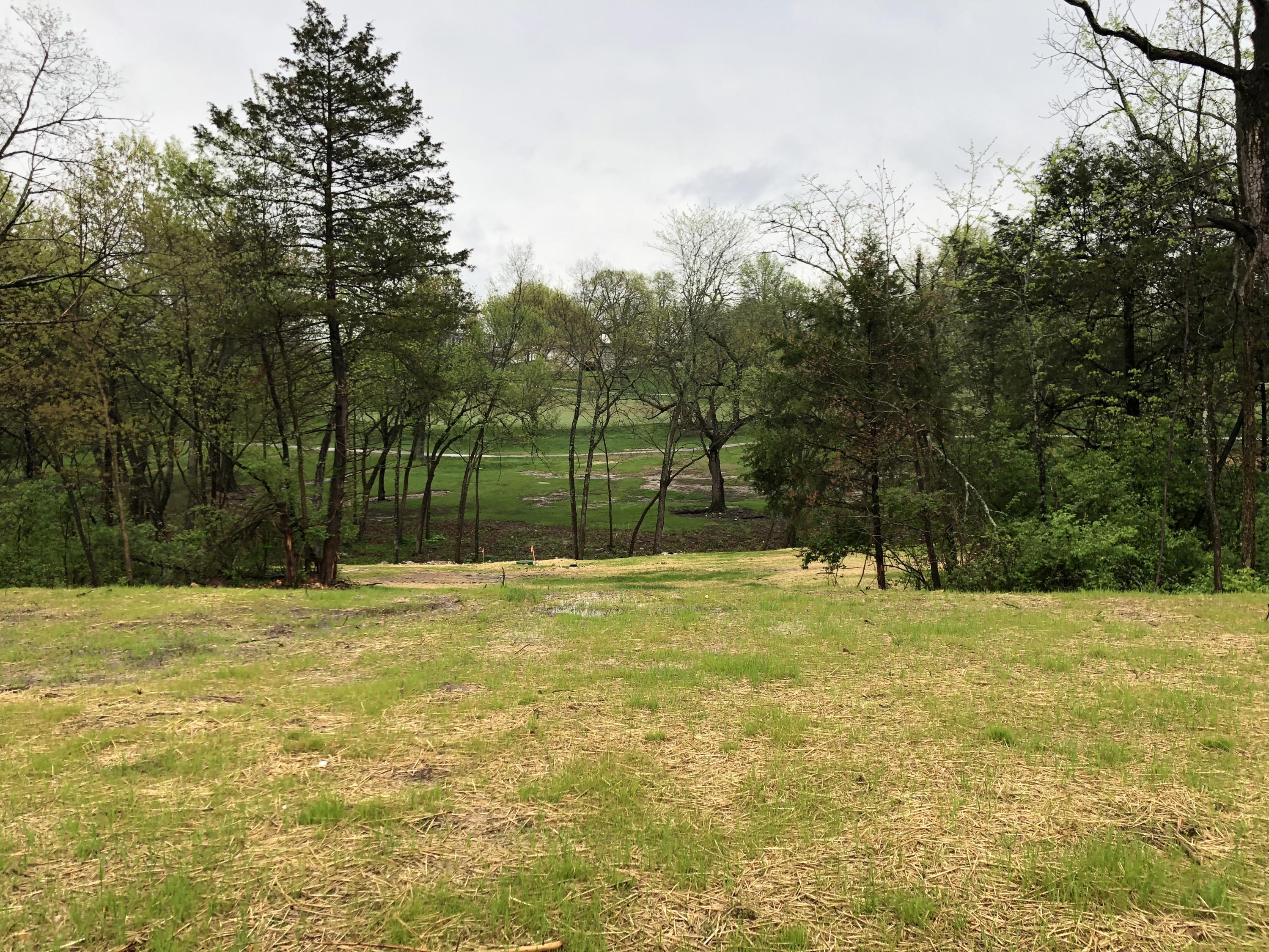 Lot 95 Cypress Point Property Photo 9