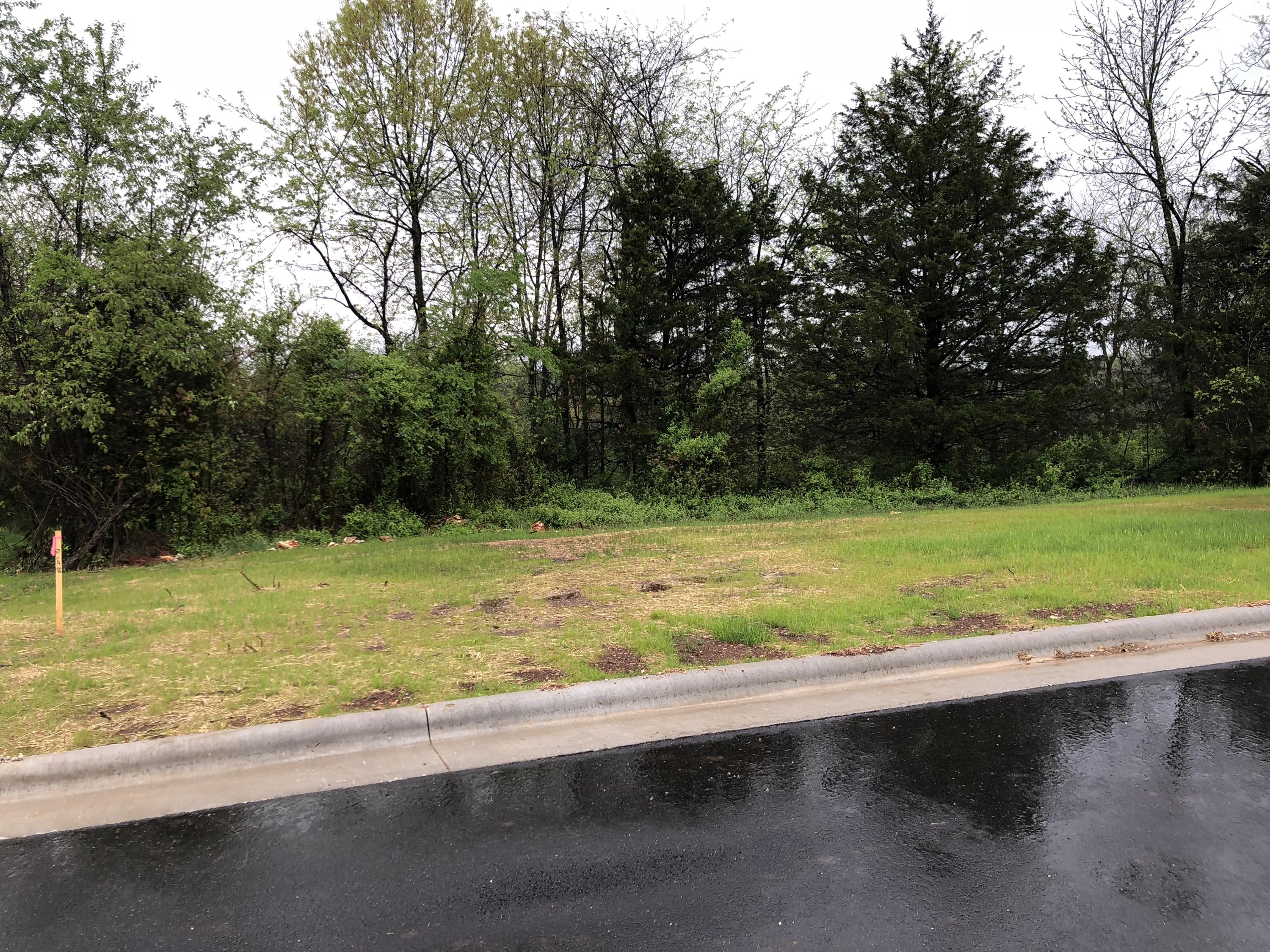 Lot 95 Cypress Point Property Photo 11