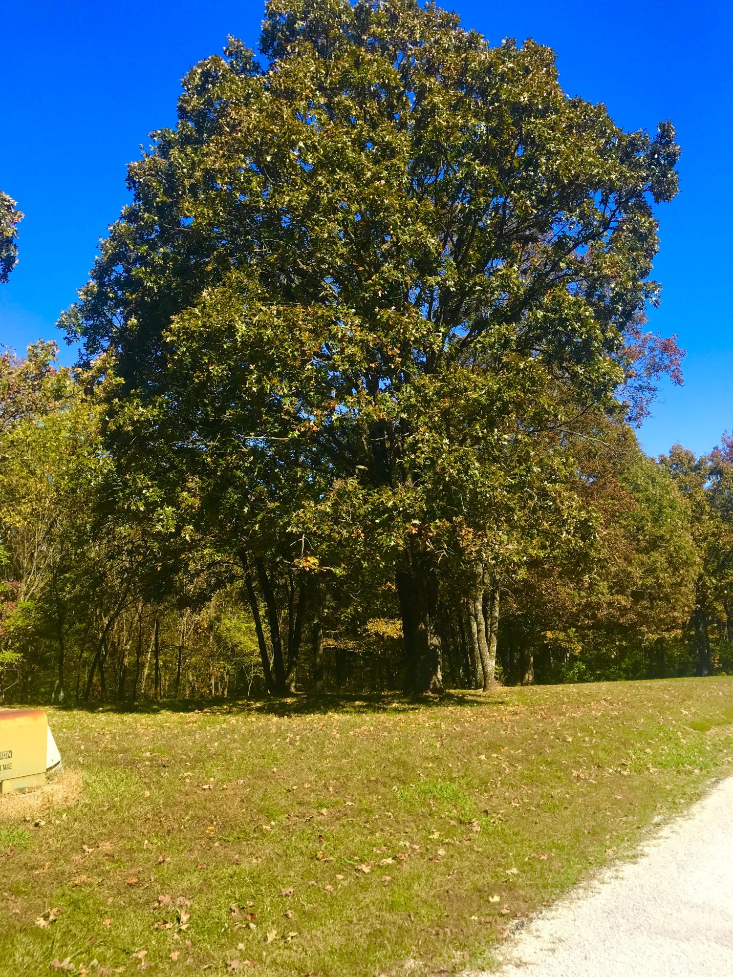 Tbd Ance Acres Lane Property Photo 6