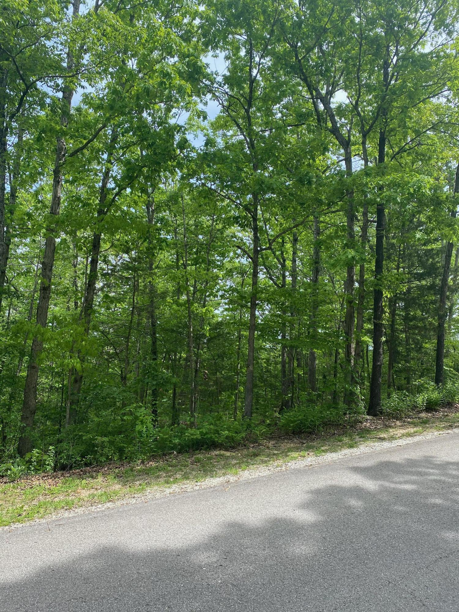 0 Silver Cliff Way Property Photo 2