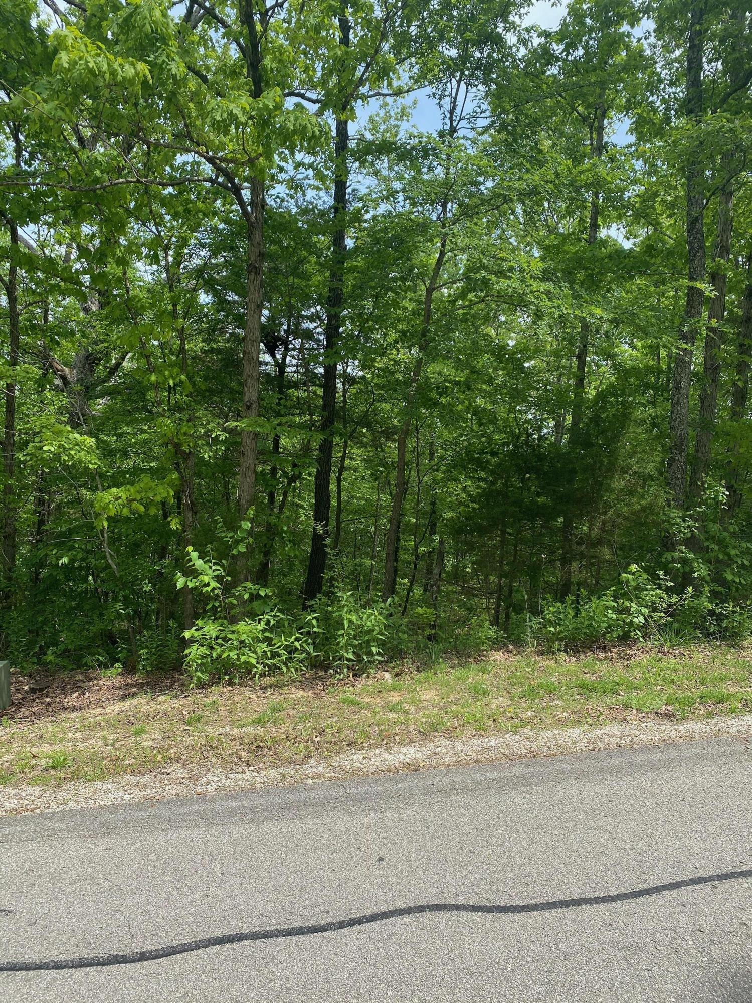 0 Silver Cliff Way Property Photo 3