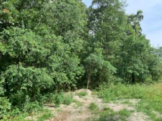 000 Chapel Drive Property Photo 4