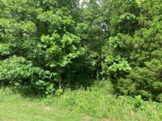 000 Chapel Drive Property Photo 12