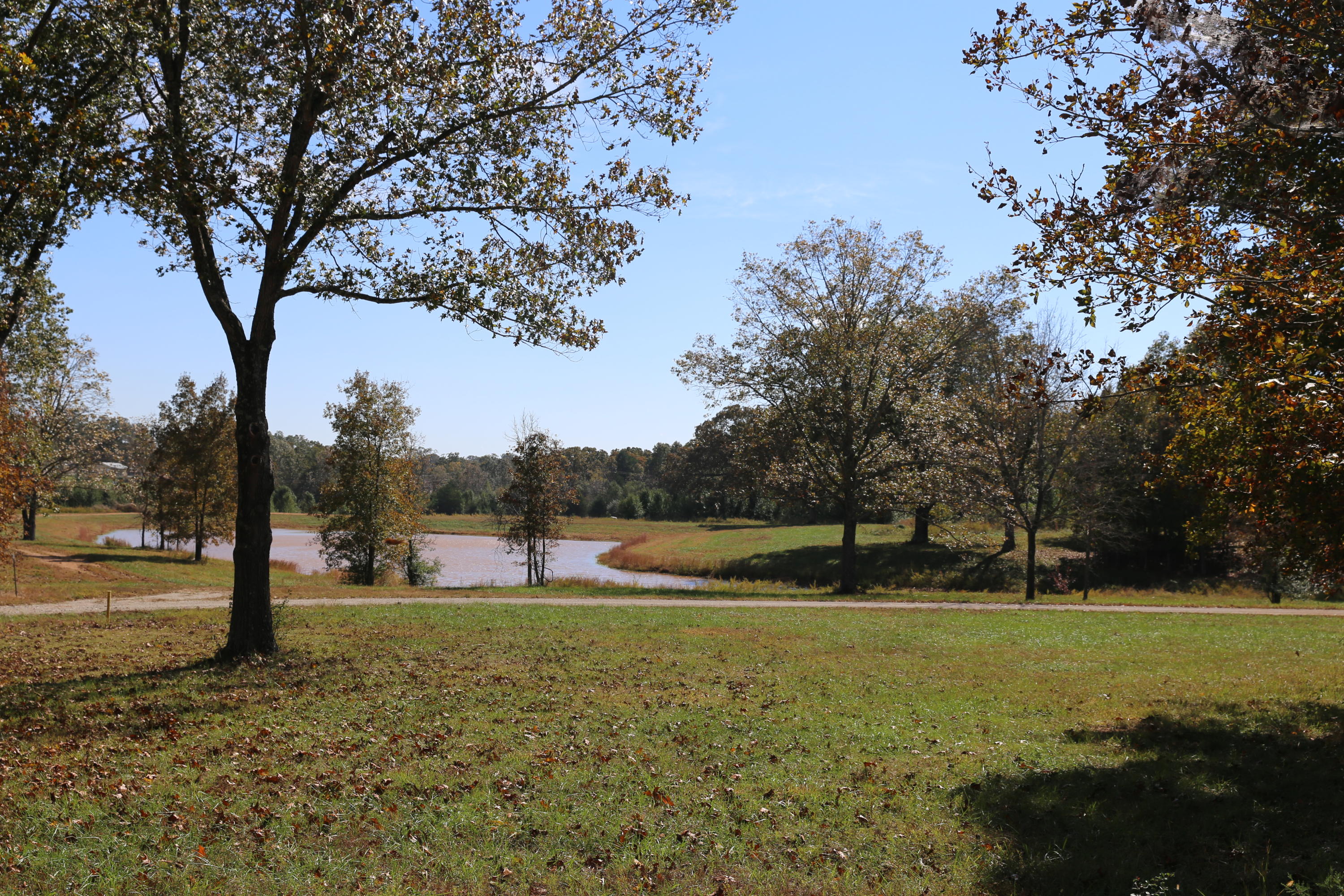 000 Wild Turkey Road Block 1 Lot 2 Property Photo 4