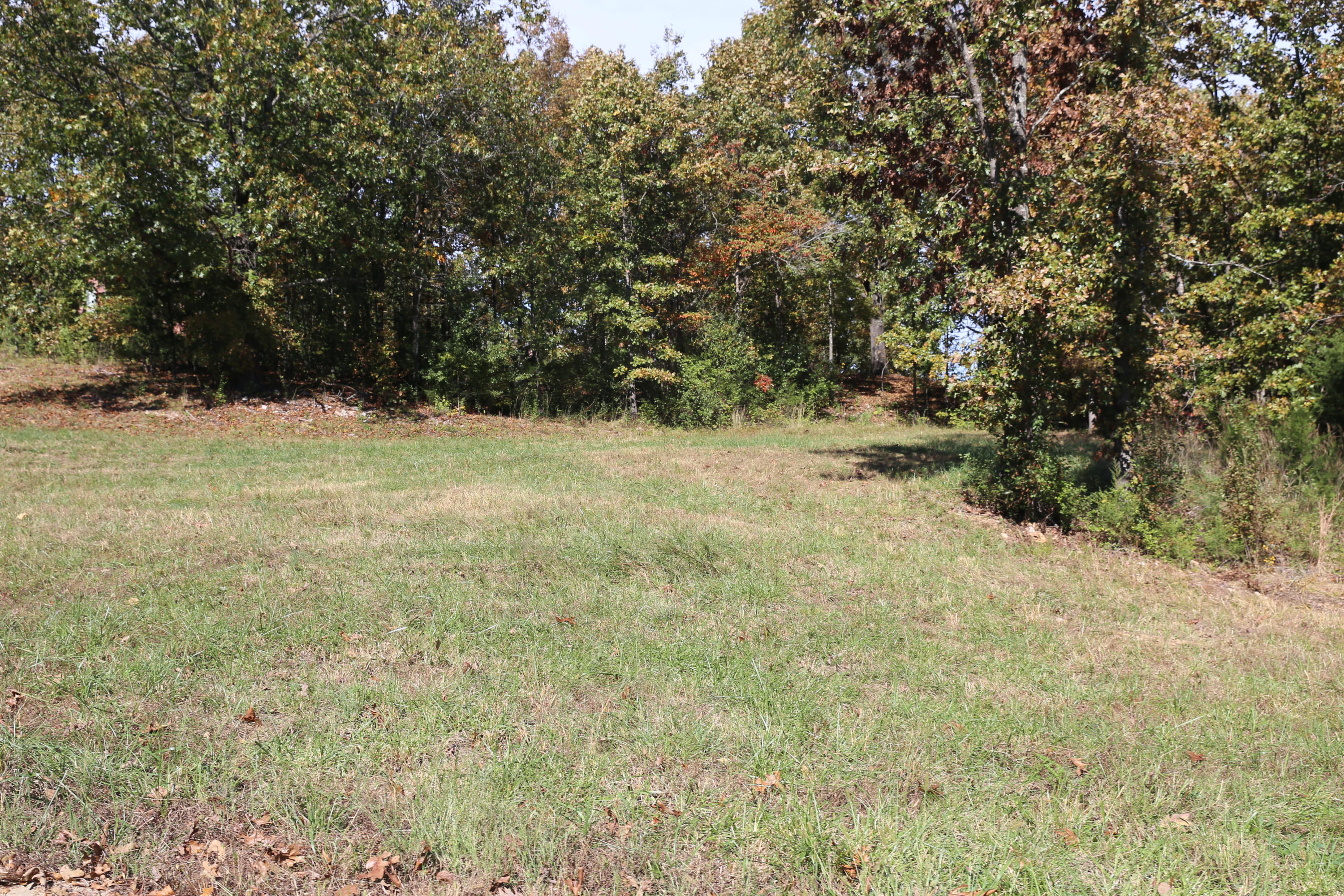 000 Wild Turkey Road Block 1 Lot 2 Property Photo 5