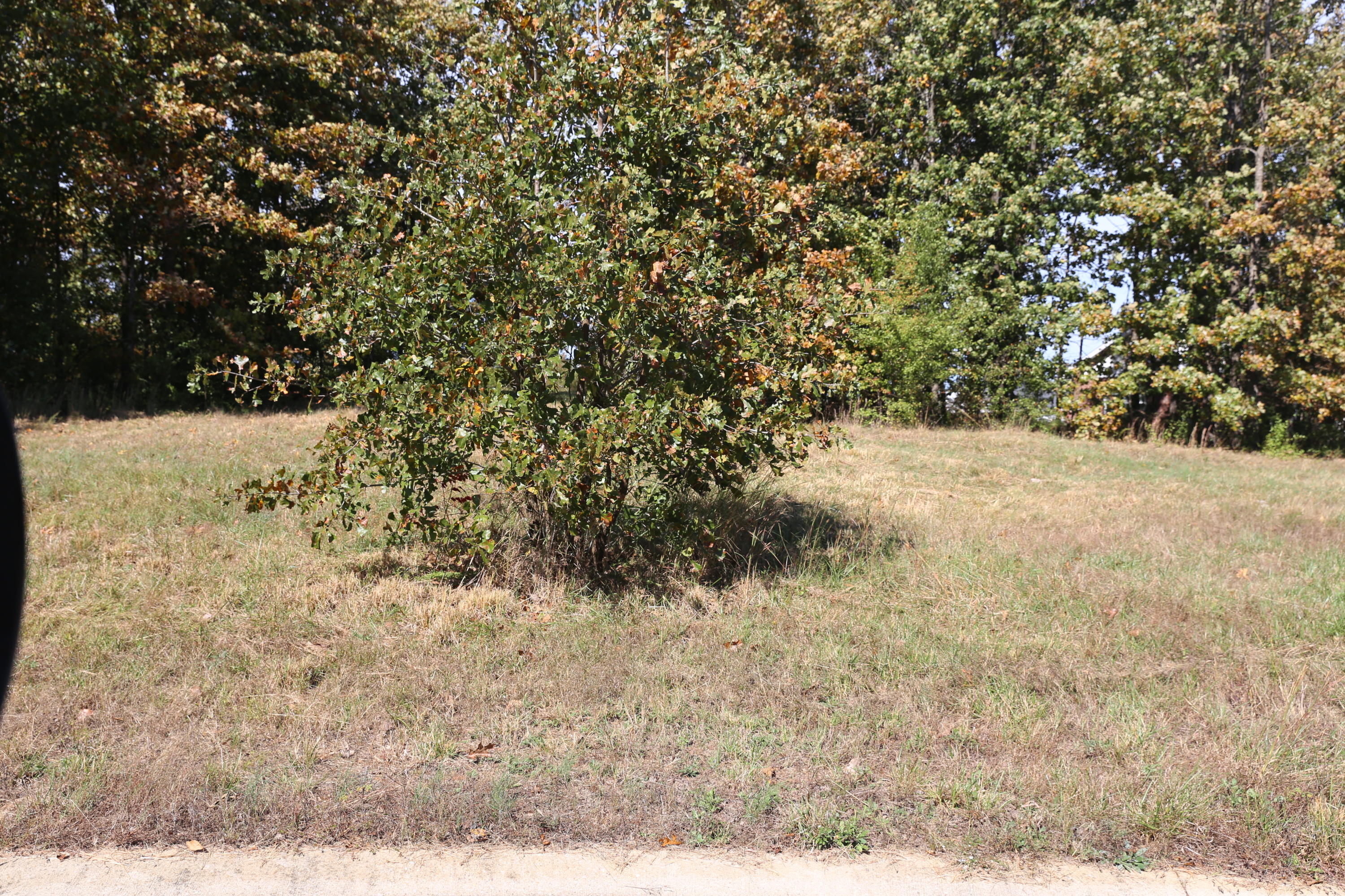 000 Wild Turkey Road Block 1 Lot 13 Property Photo 3