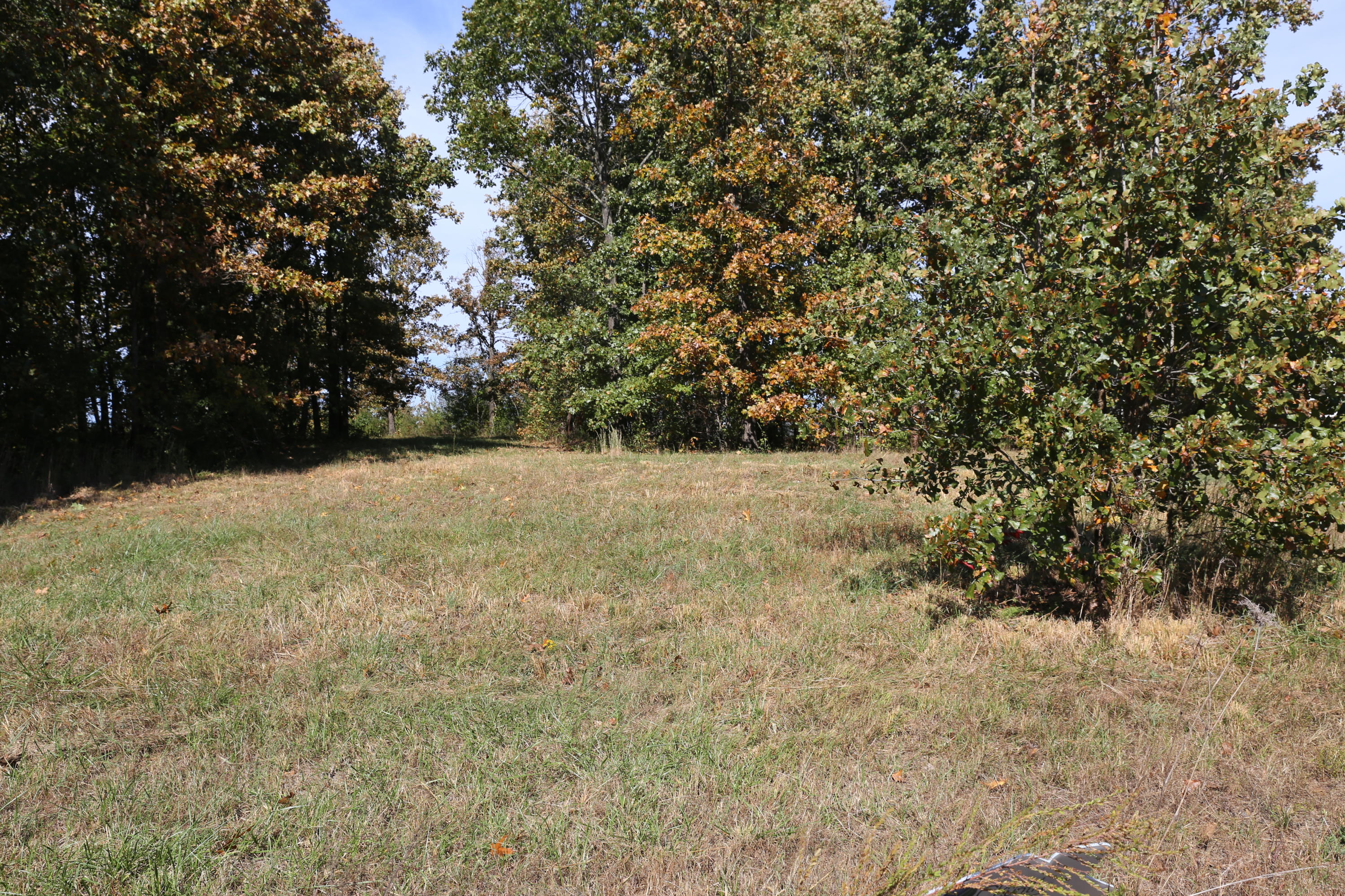 000 Wild Turkey Road Property Photo 1