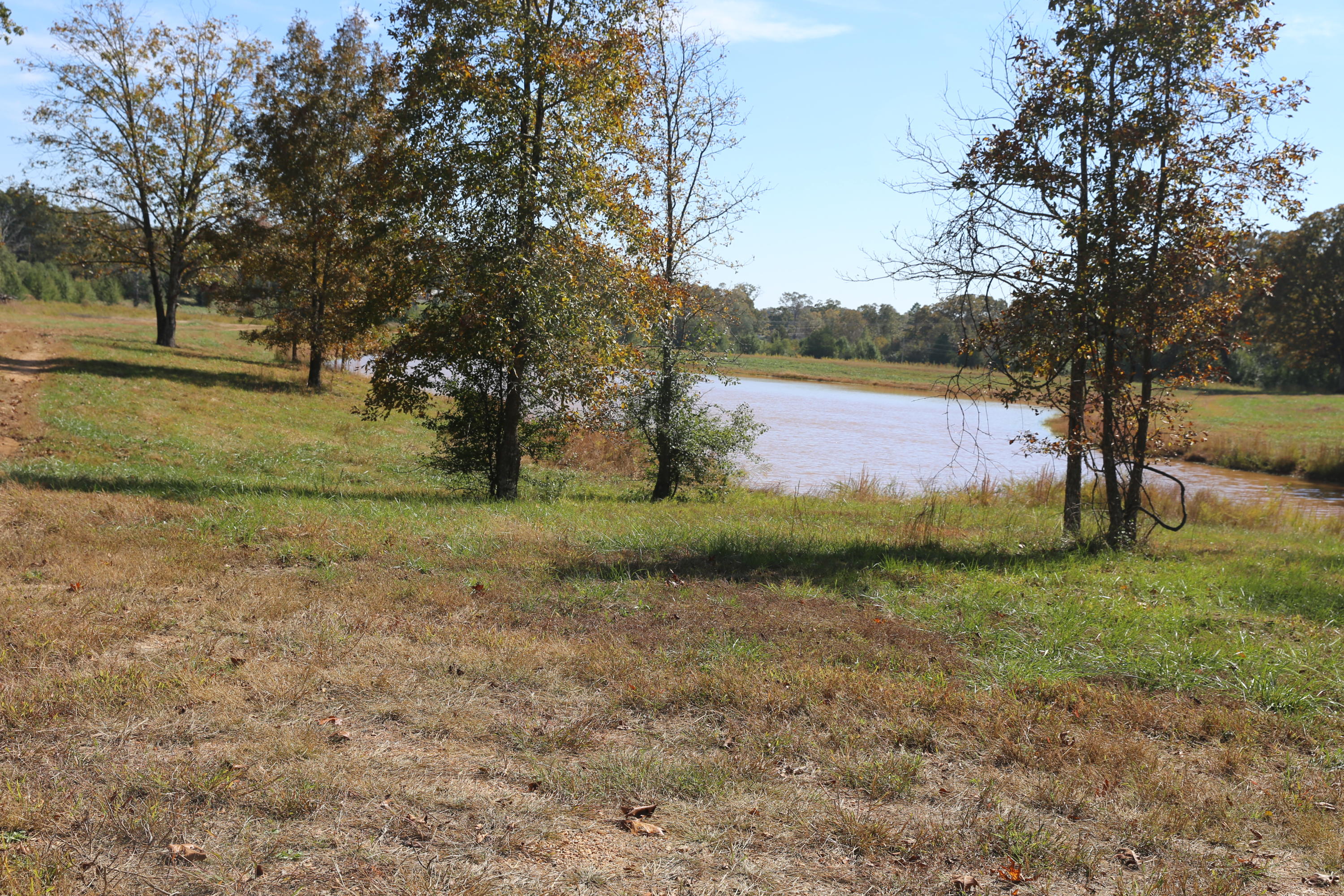 000 Wild Turkey Drive Property Photo 1
