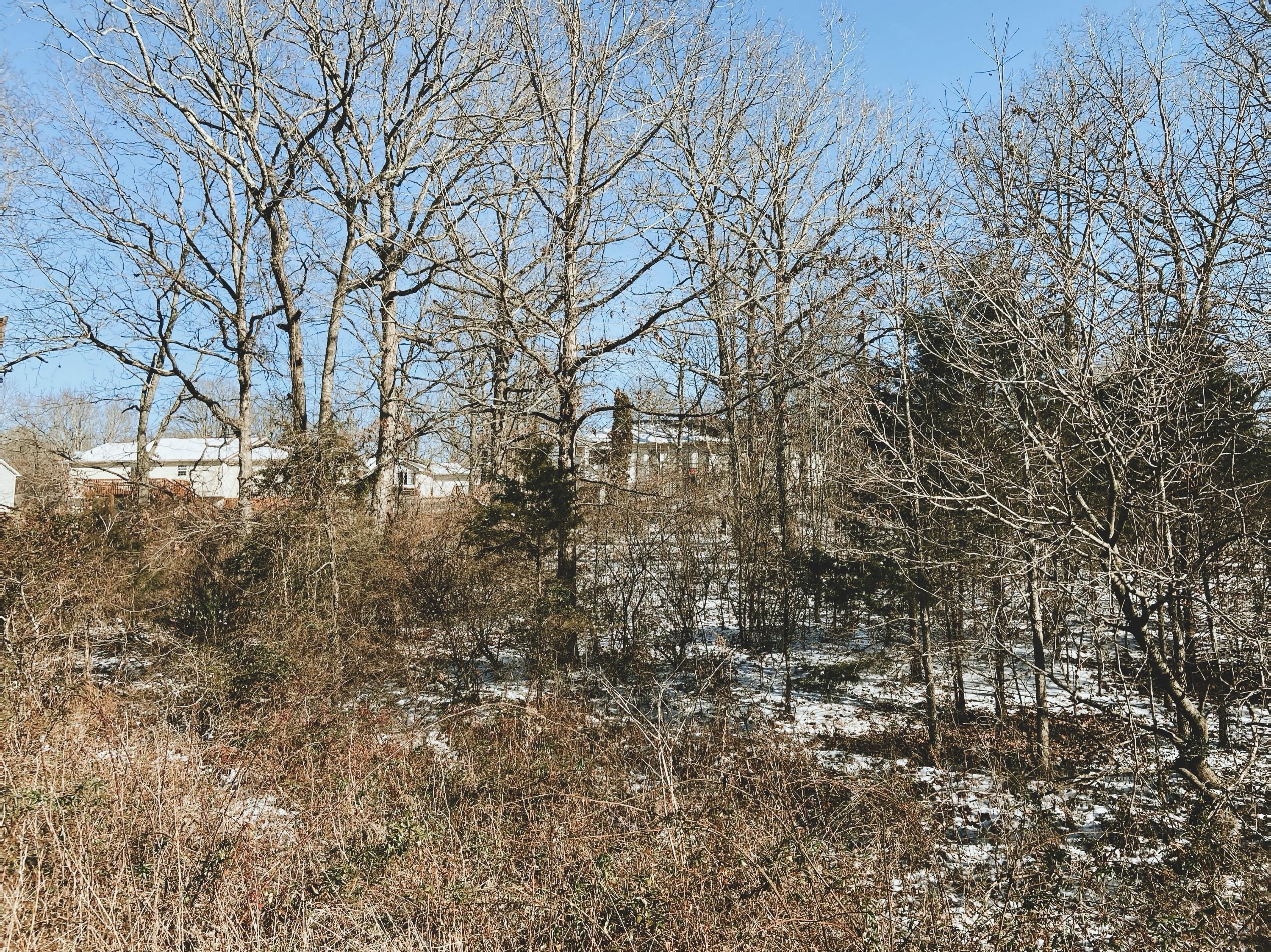 000 Ginger Drive Lot 7 Block 8 Property Photo