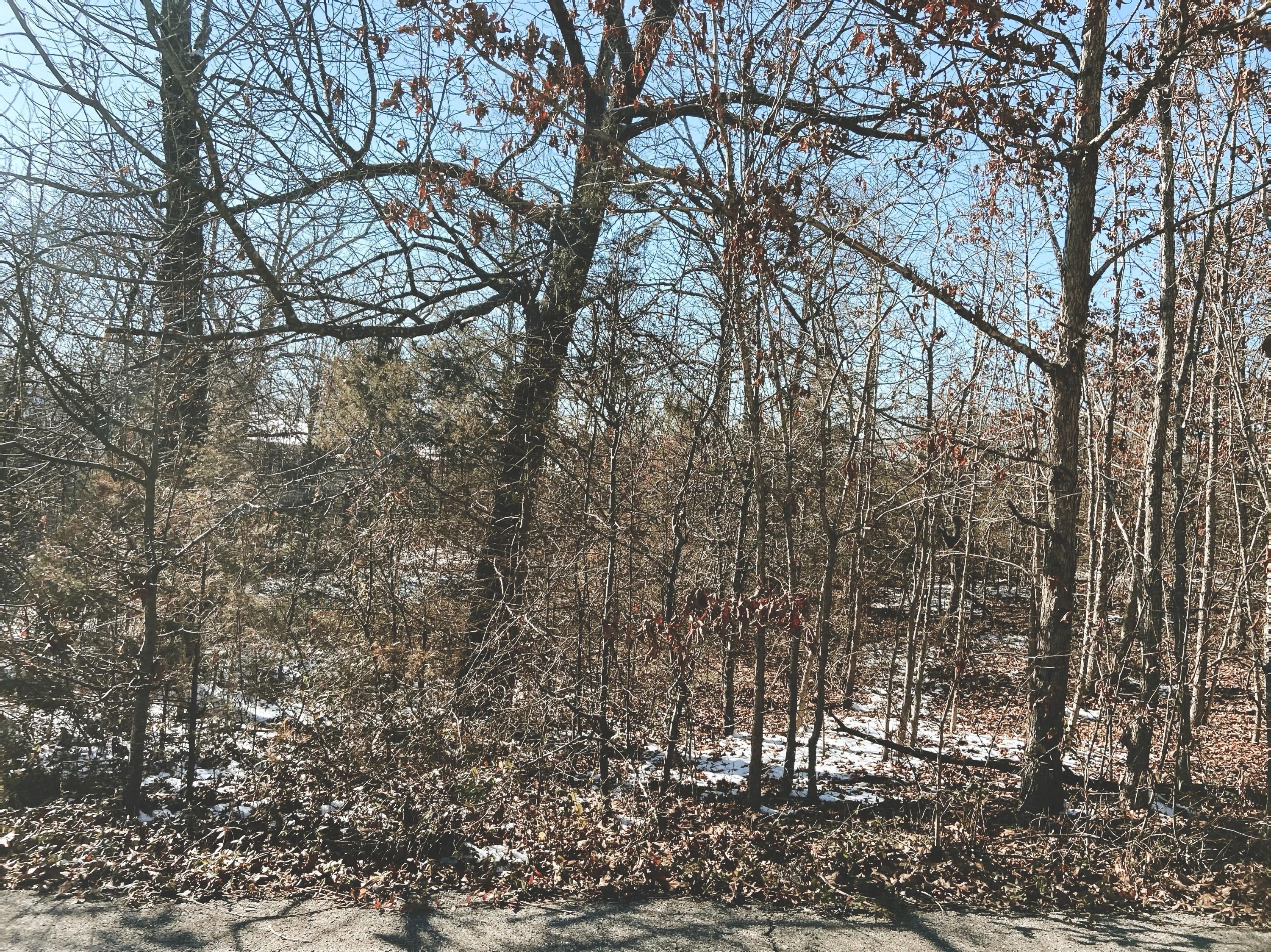 000 Mcfarland Drive Lot 14 Property Photo