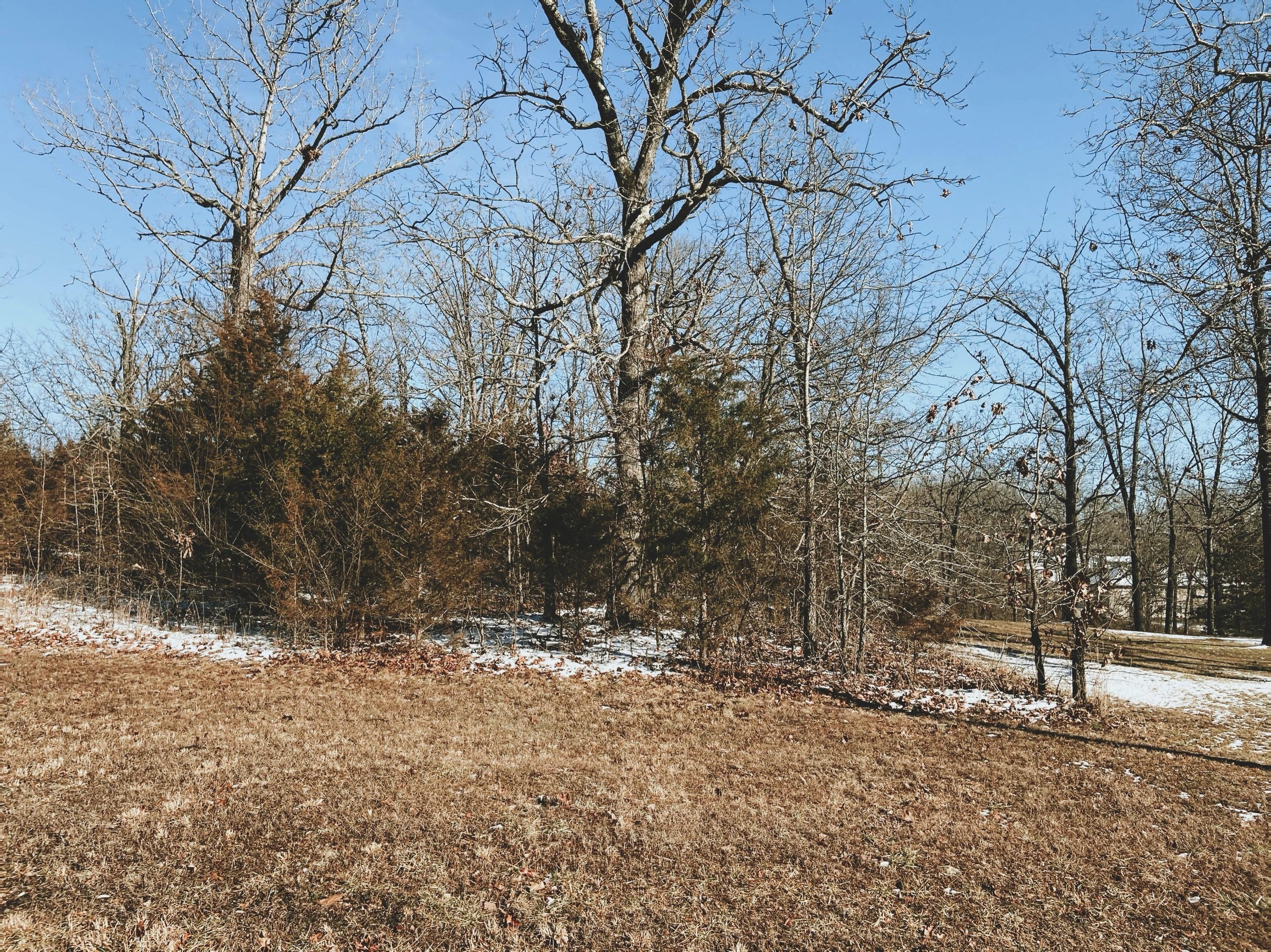 000 Rhonda Drive Lot 1 Property Photo