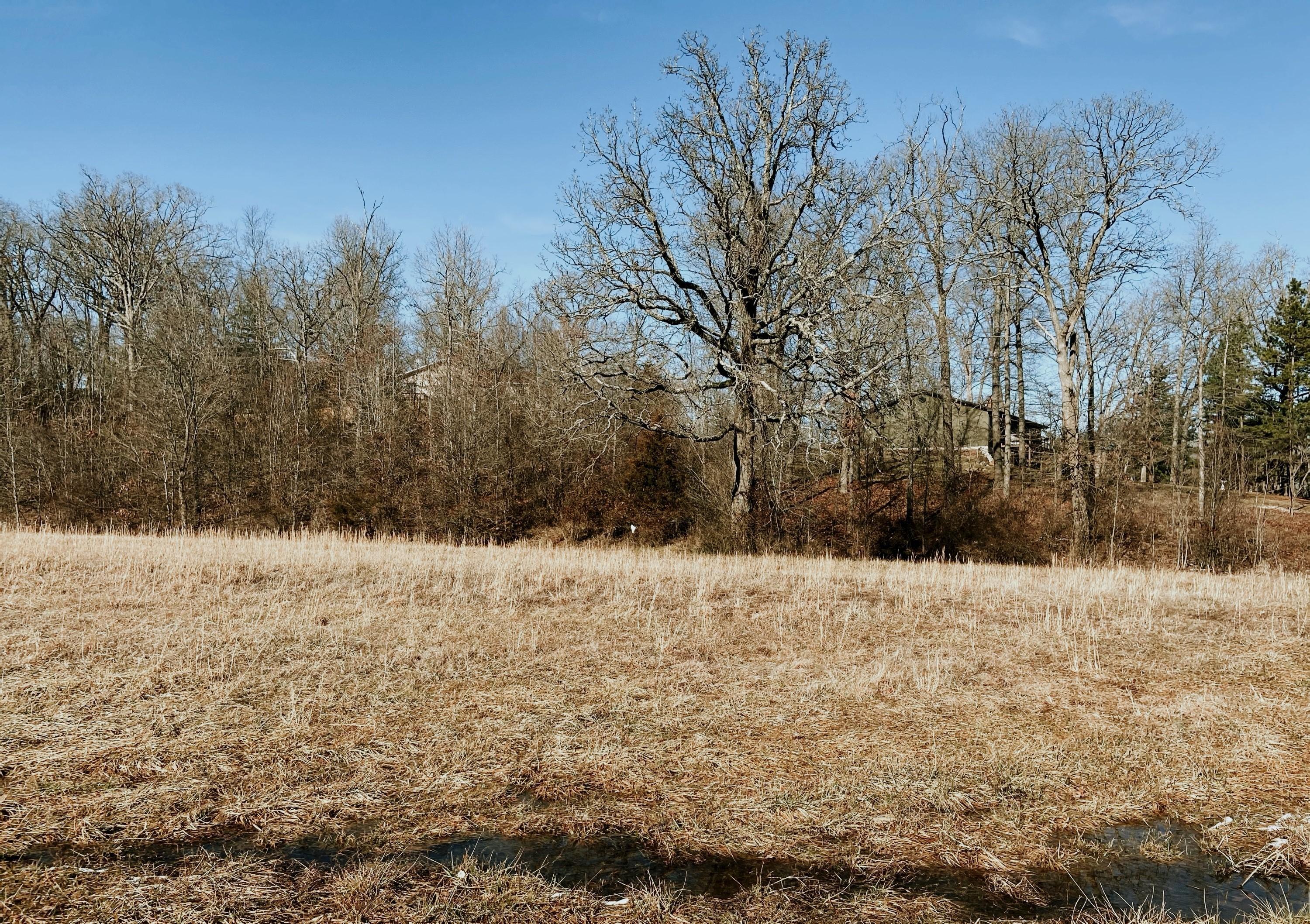 000 Lot 1 Block 12 Morrison Sub Property Photo