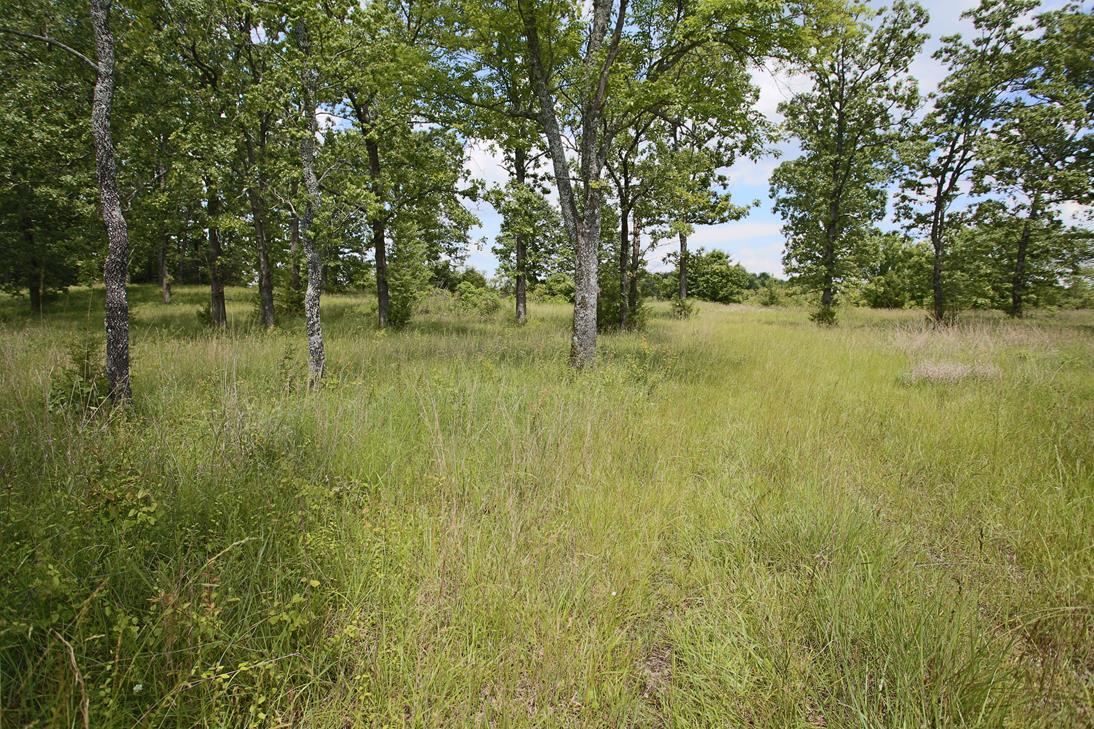 000 Arrowhead Acres Property Photo 1