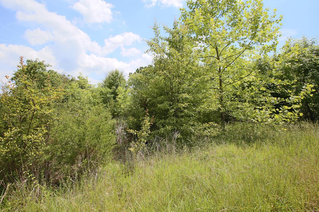 000 Arrowhead Acres Property Photo 11